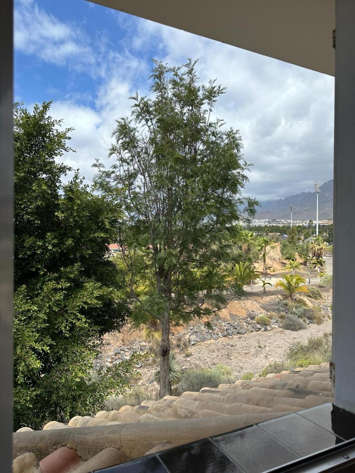 Suites Beach House بلايا ذي لاس أميريكاس المظهر الخارجي الصورة